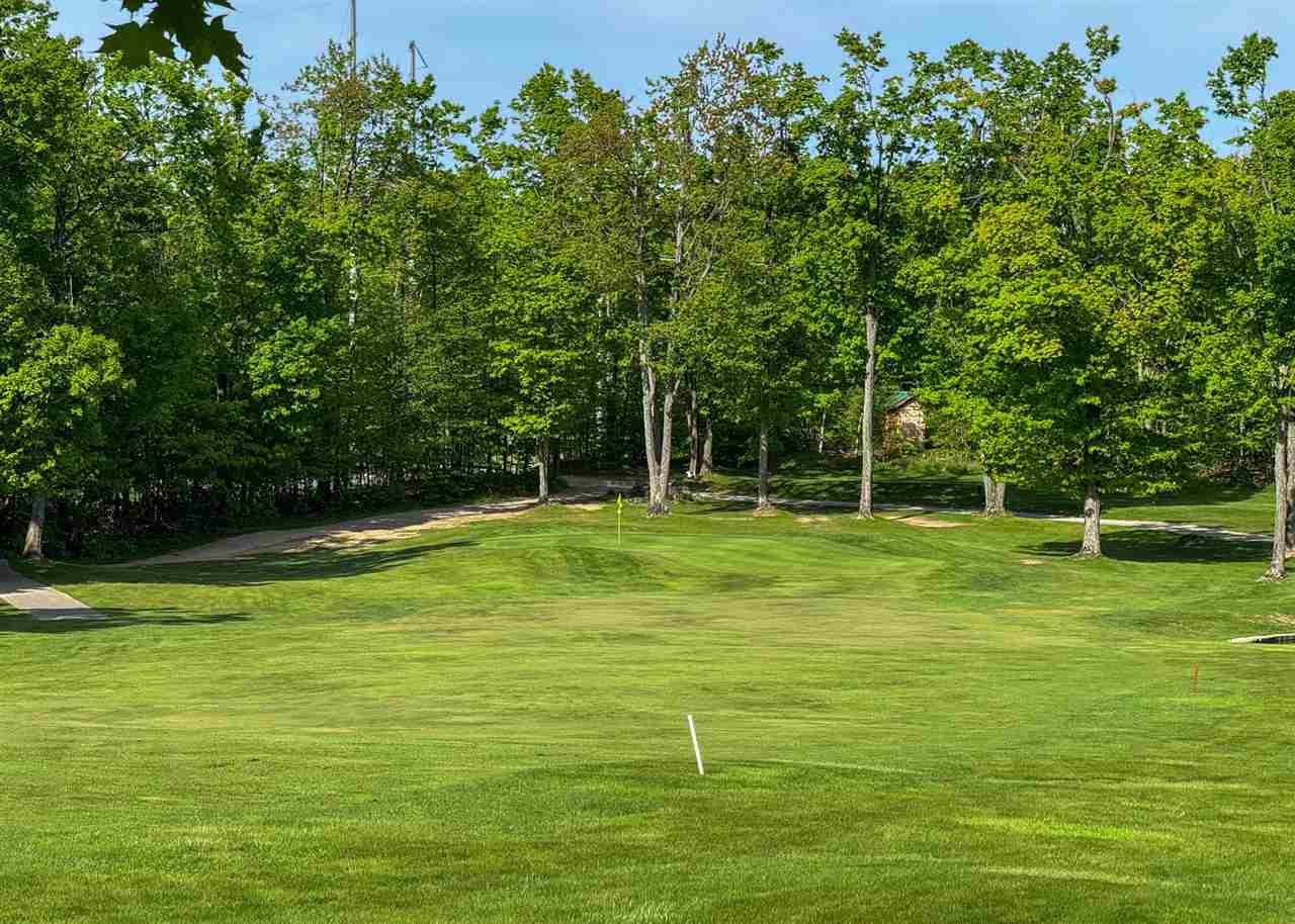 1279 Walkabout Lane Harbor Springs MI 49740