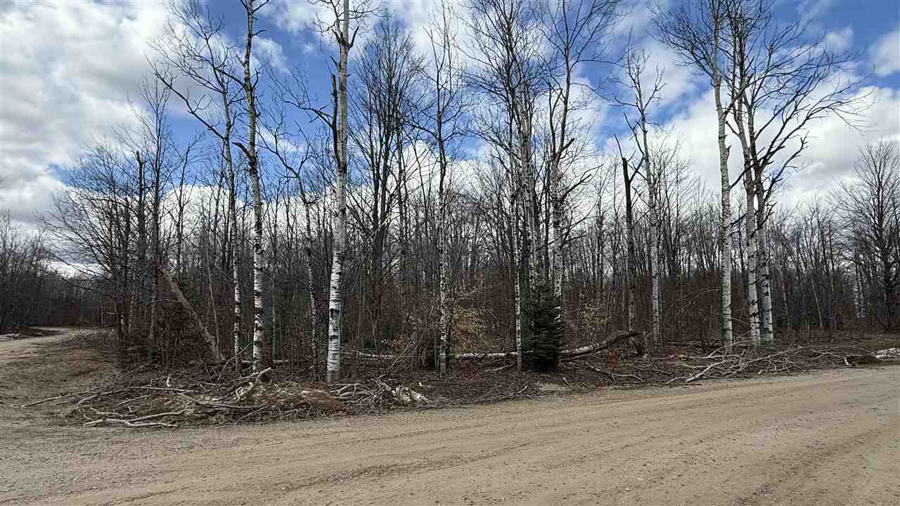 Lot 857 Hollyglen Drive Mancelona MI 49659