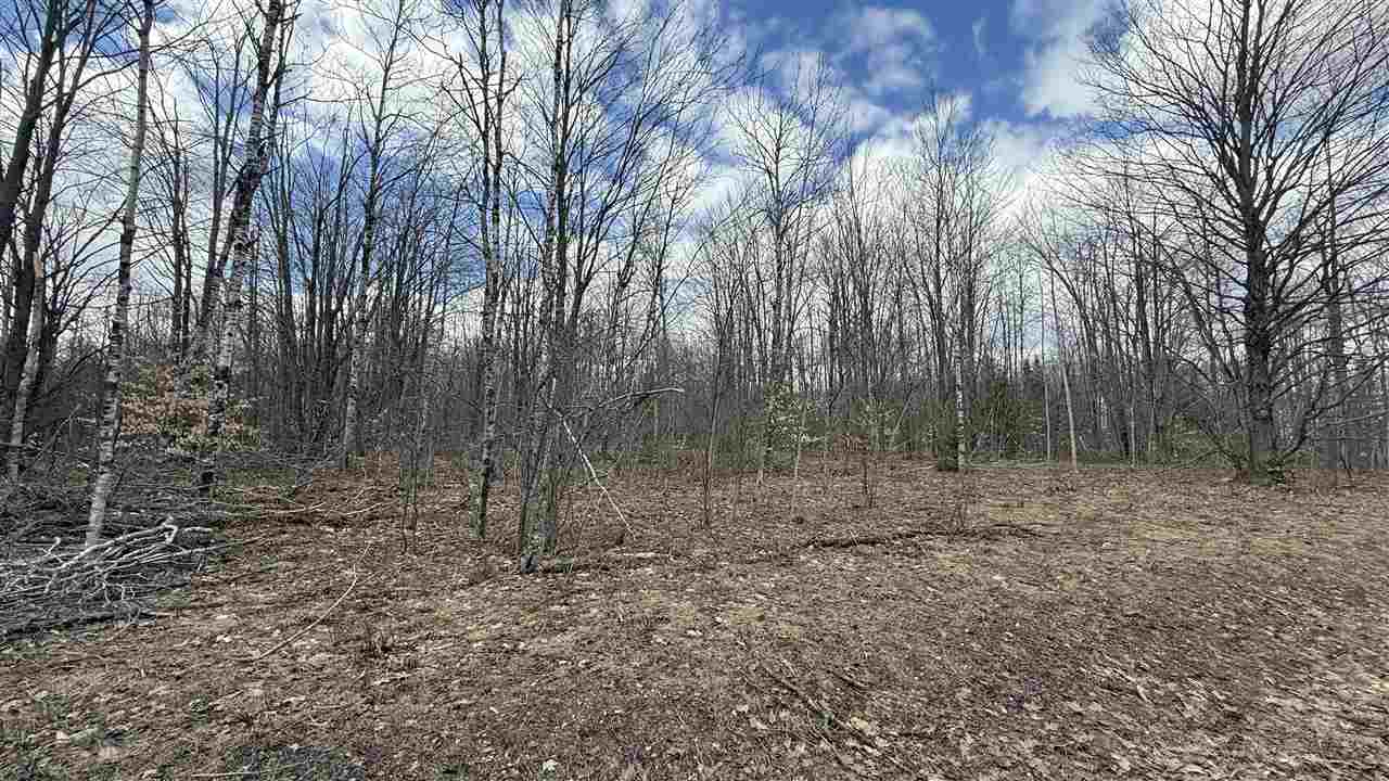 Lot 857 Hollyglen Drive Mancelona MI 49659