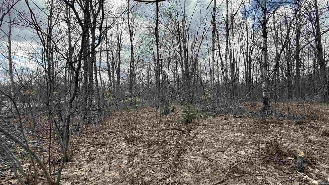 Lot 857 Hollyglen Drive Mancelona MI 49659