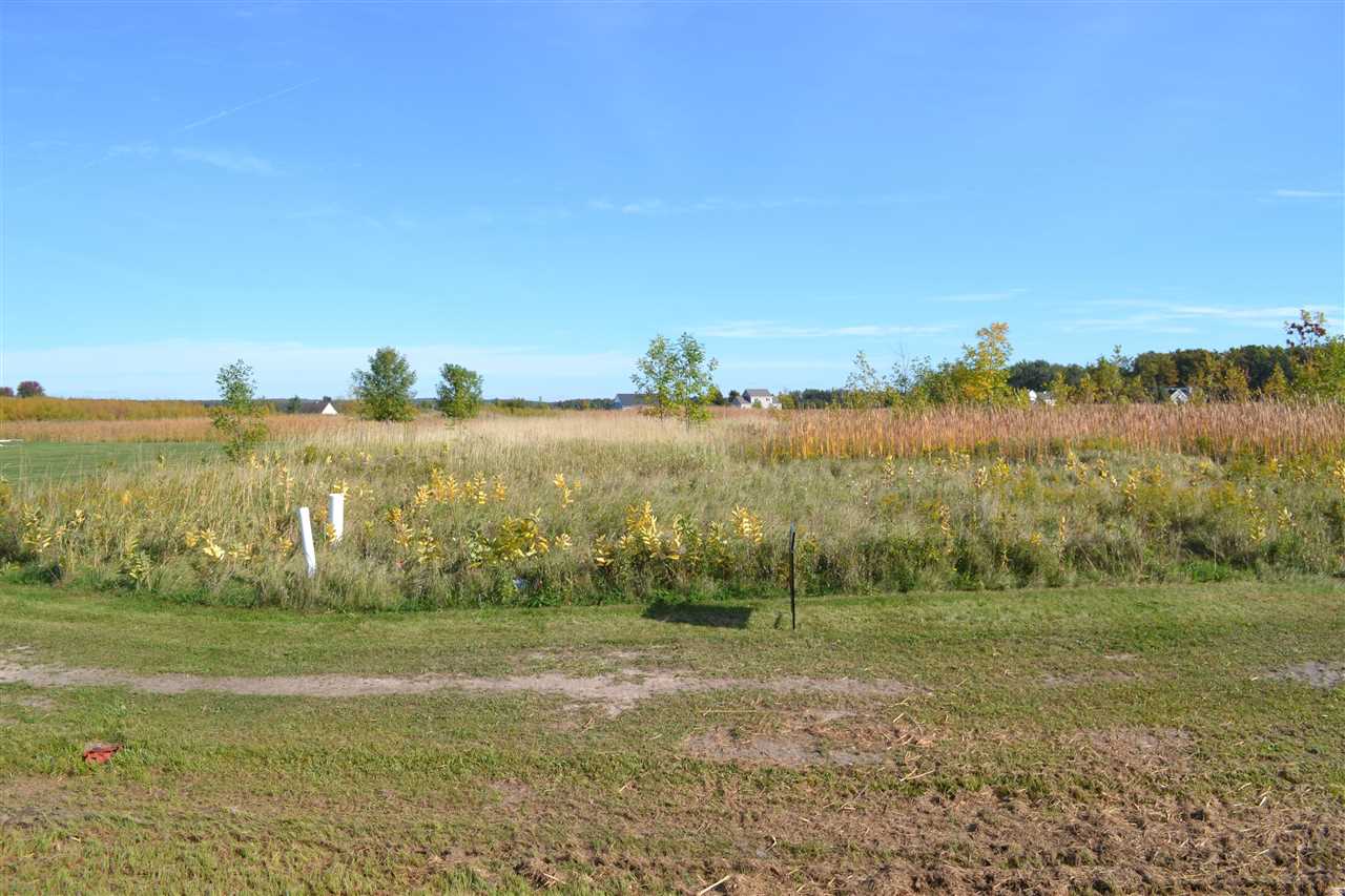 6140 Summerside Drive Alanson MI 49706