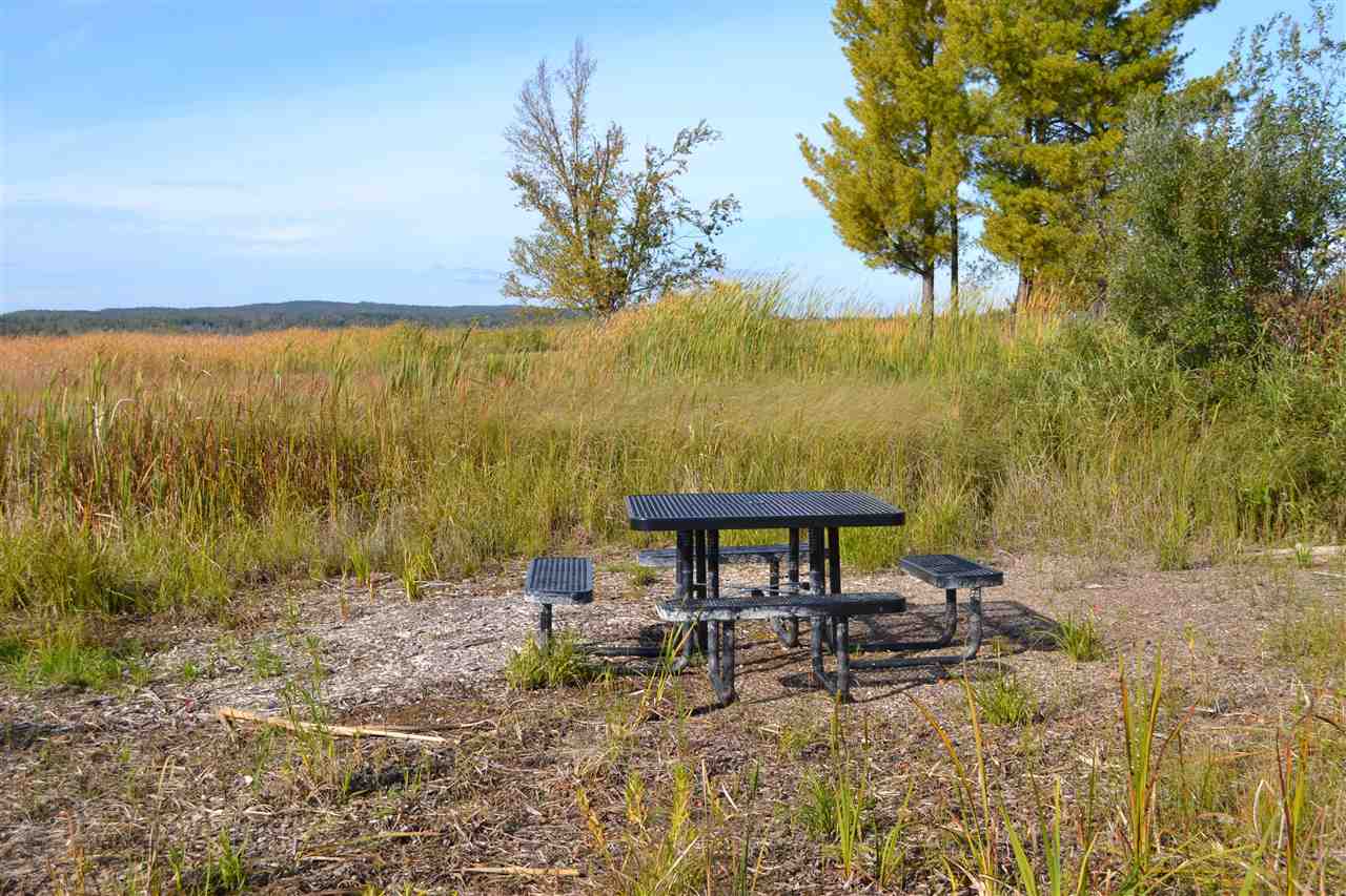 6140 Summerside Drive Alanson MI 49706
