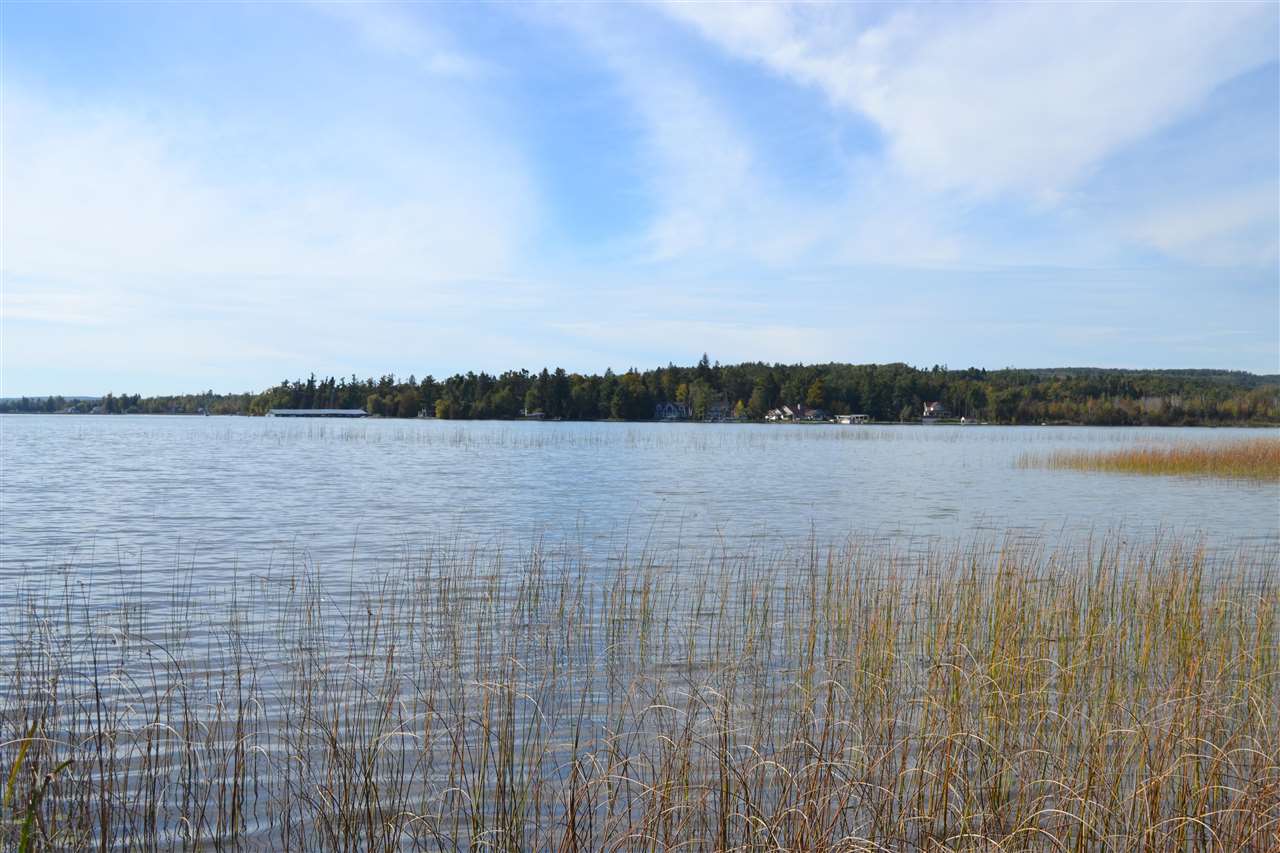 6140 Summerside Drive Alanson MI 49706