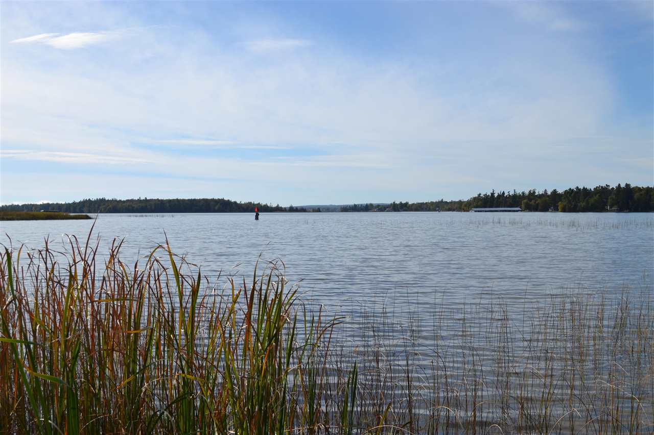 6140 Summerside Drive Alanson MI 49706