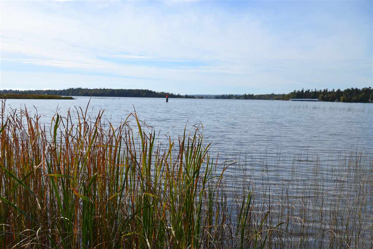 6140 Summerside Drive Alanson MI 49706