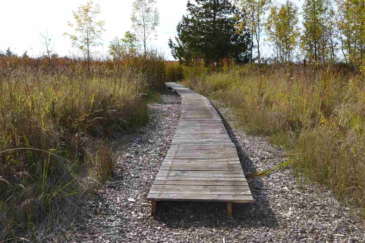 6140 Summerside Drive Alanson MI 49706