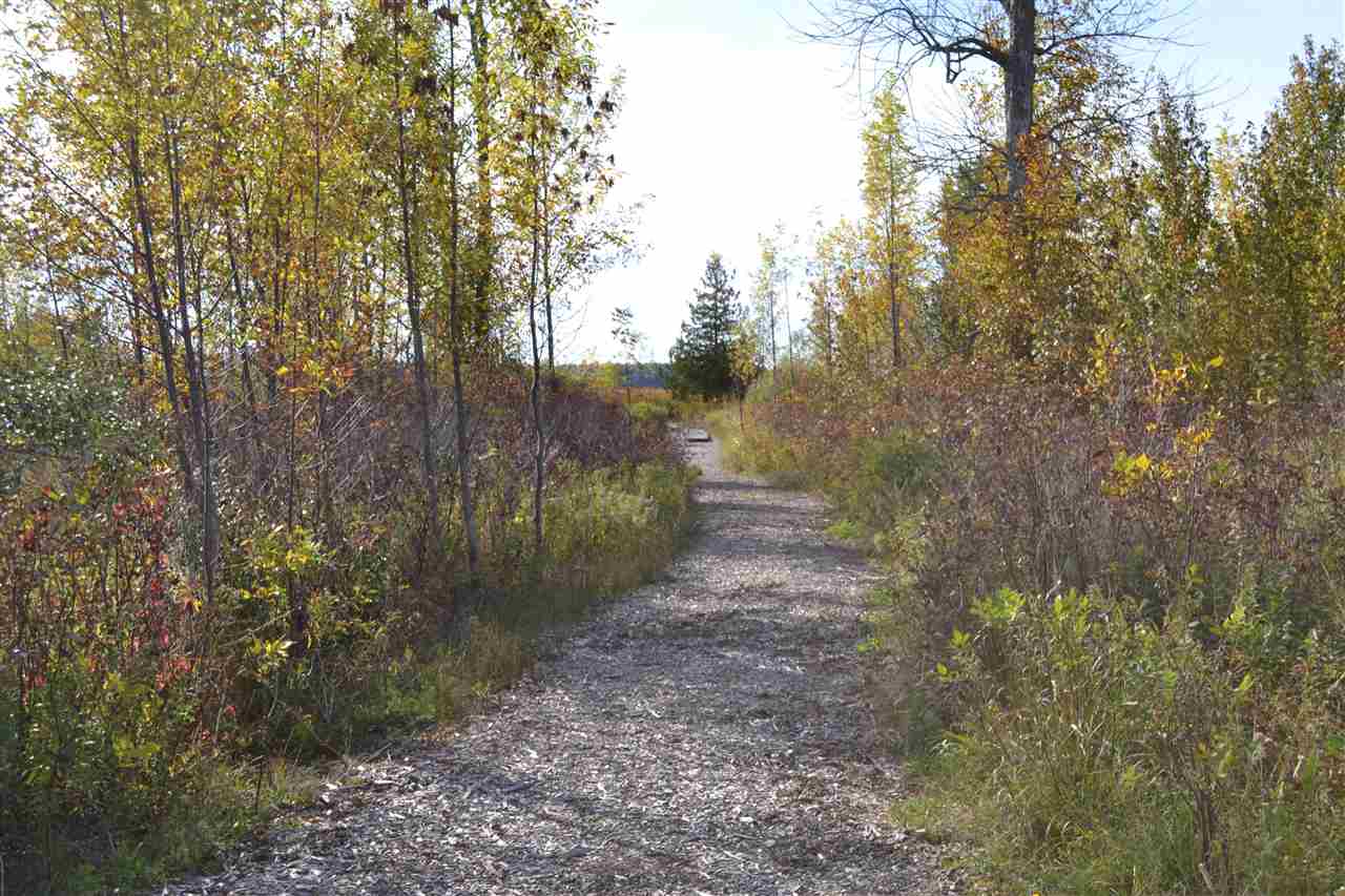 6140 Summerside Drive Alanson MI 49706