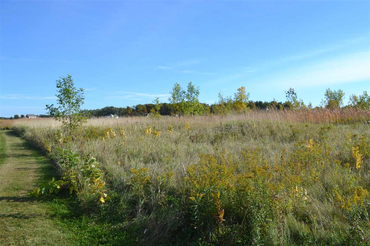 6140 Summerside Drive Alanson MI 49706