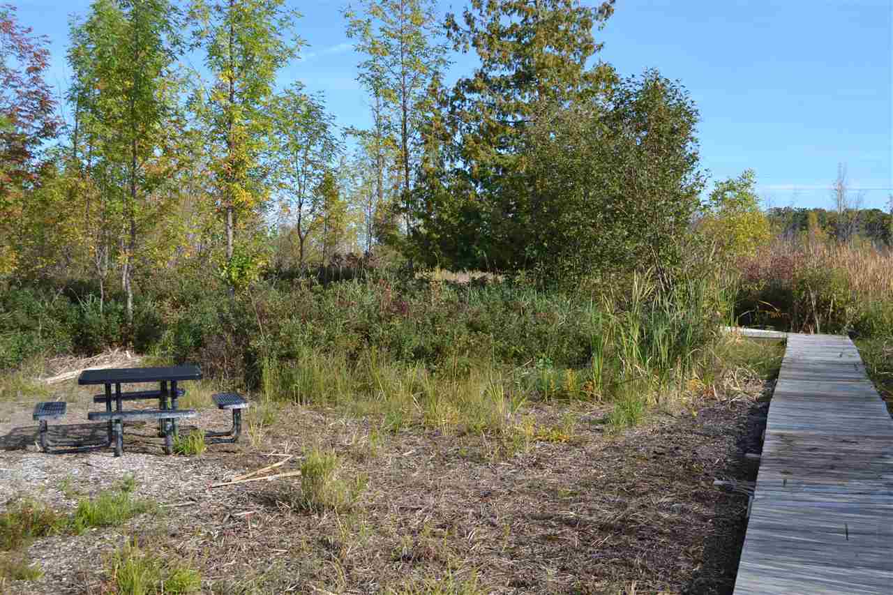 6140 Summerside Drive Alanson MI 49706