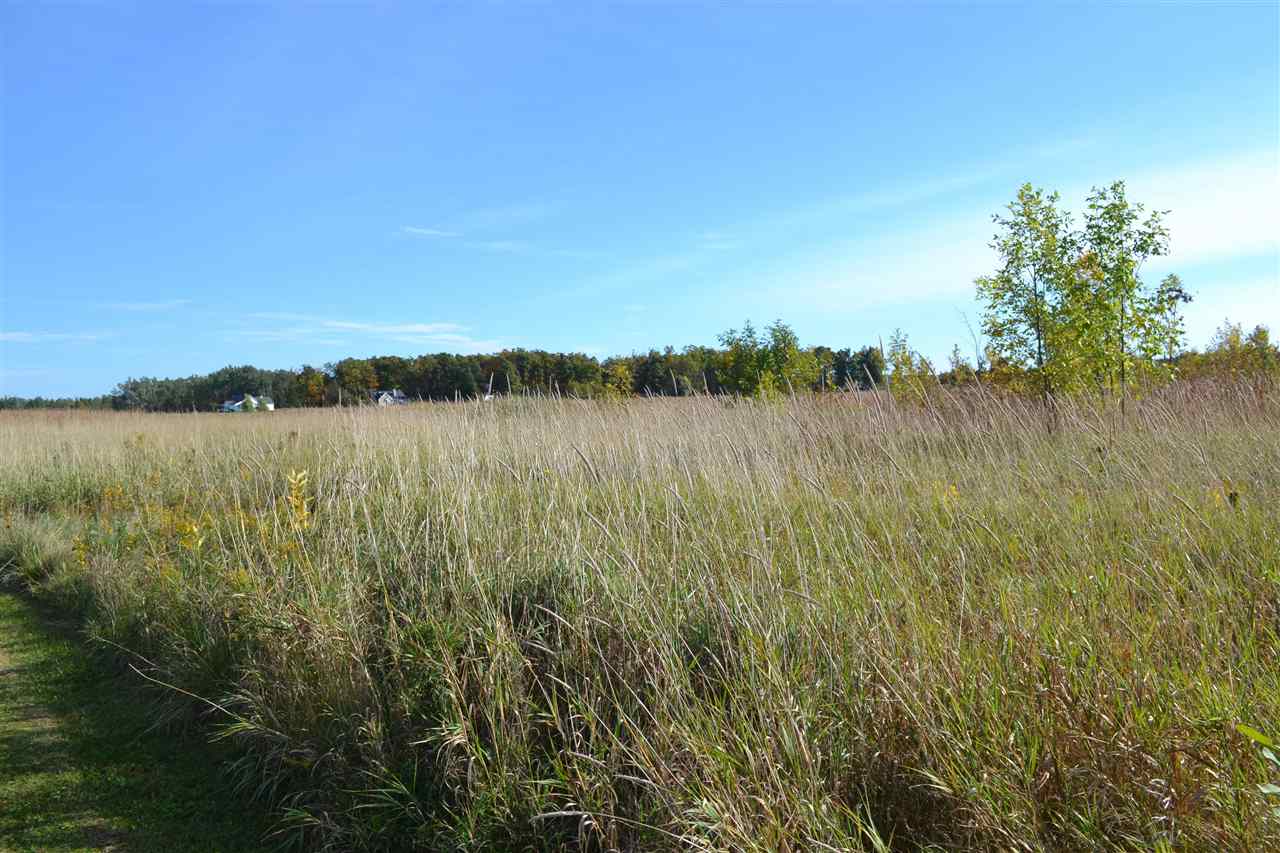6140 Summerside Drive Alanson MI 49706