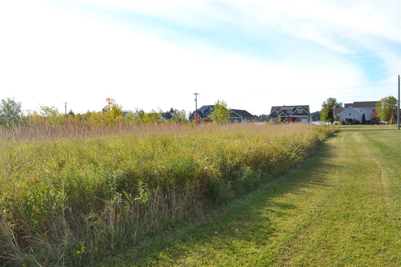 6140 Summerside Drive Alanson MI 49706