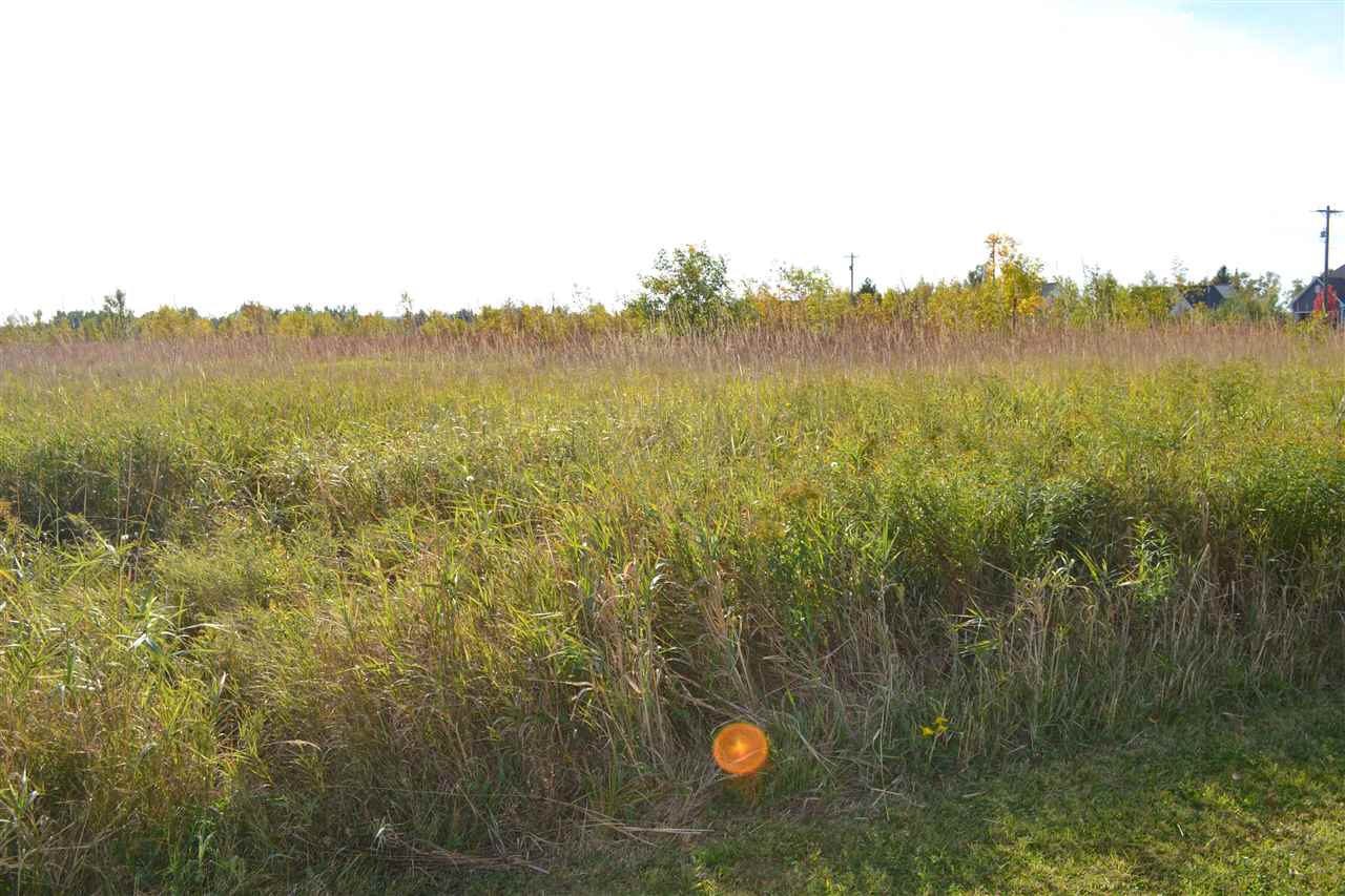 6140 Summerside Drive Alanson MI 49706
