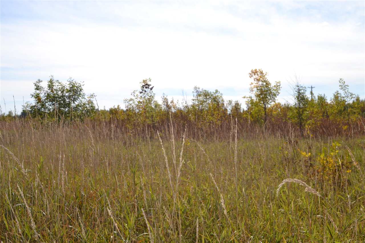 6140 Summerside Drive Alanson MI 49706