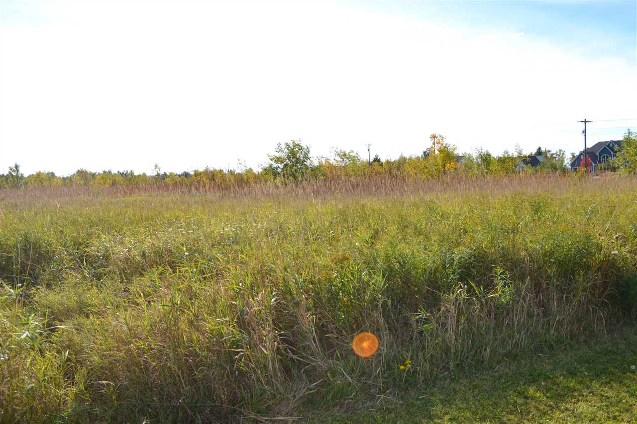 6140 Summerside Drive Alanson MI 49706