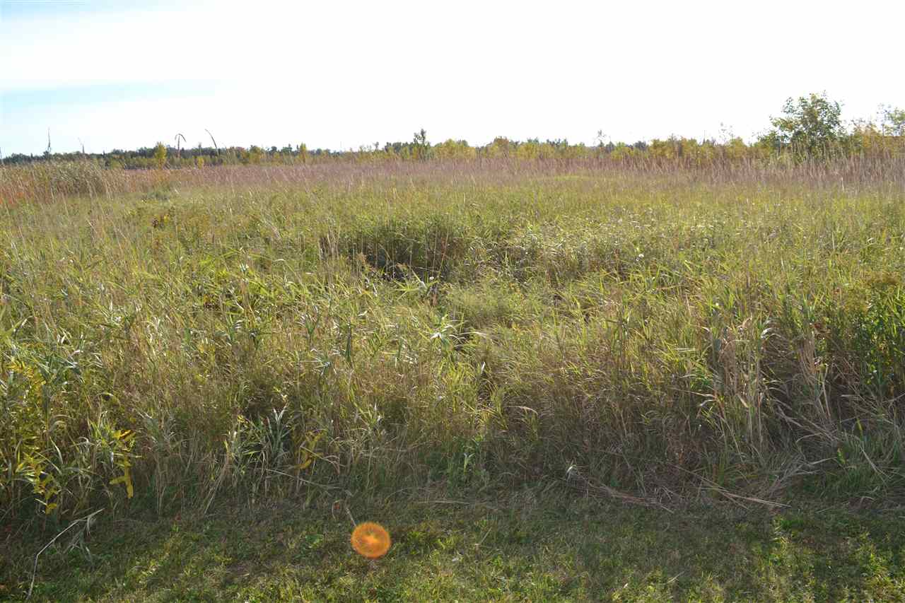 6140 Summerside Drive Alanson MI 49706