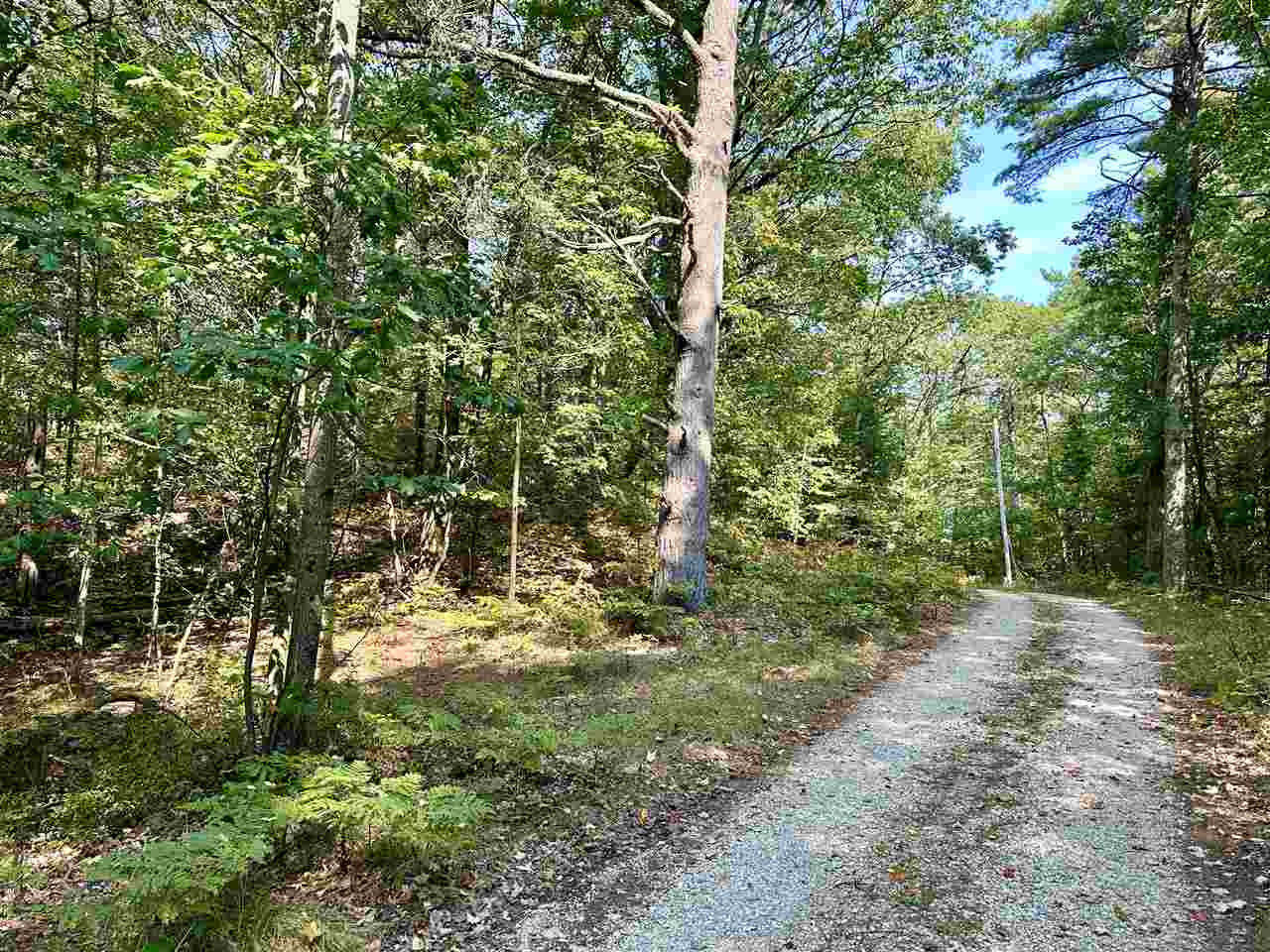 Pine Cone Drive Beaver Island MI 49782