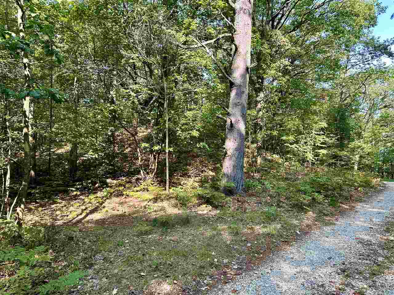 Pine Cone Drive Beaver Island MI 49782