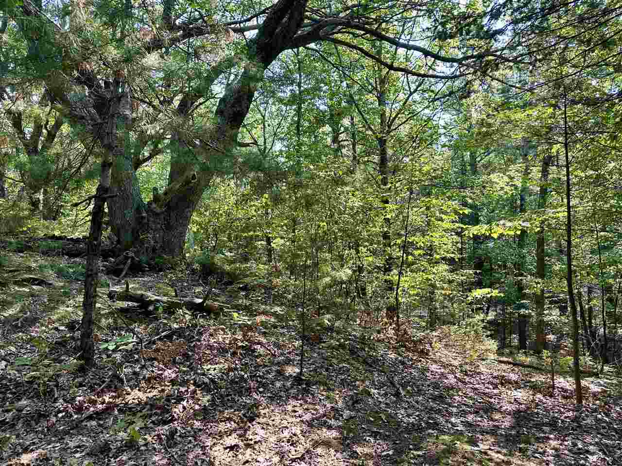Pine Cone Drive Beaver Island MI 49782