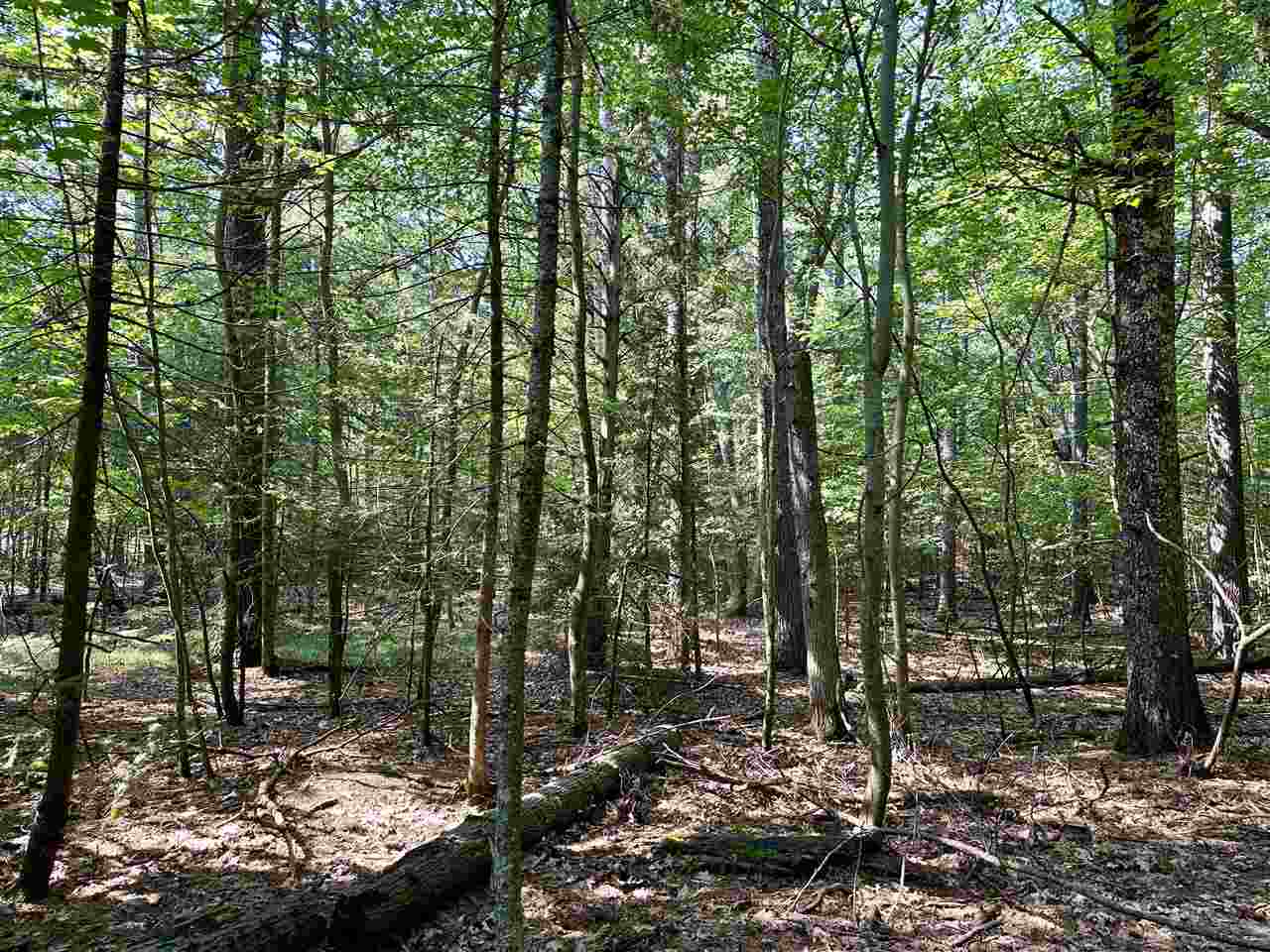 Pine Cone Drive Beaver Island MI 49782