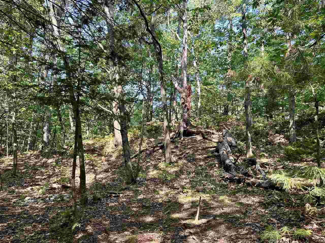 Pine Cone Drive Beaver Island MI 49782