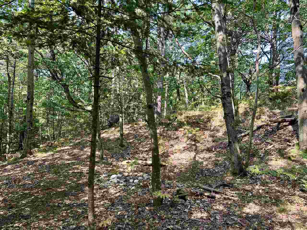 Pine Cone Drive Beaver Island MI 49782