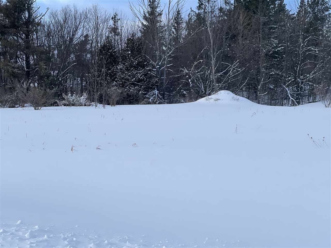 3412 Siebenhar Way Petoskey MI 49770