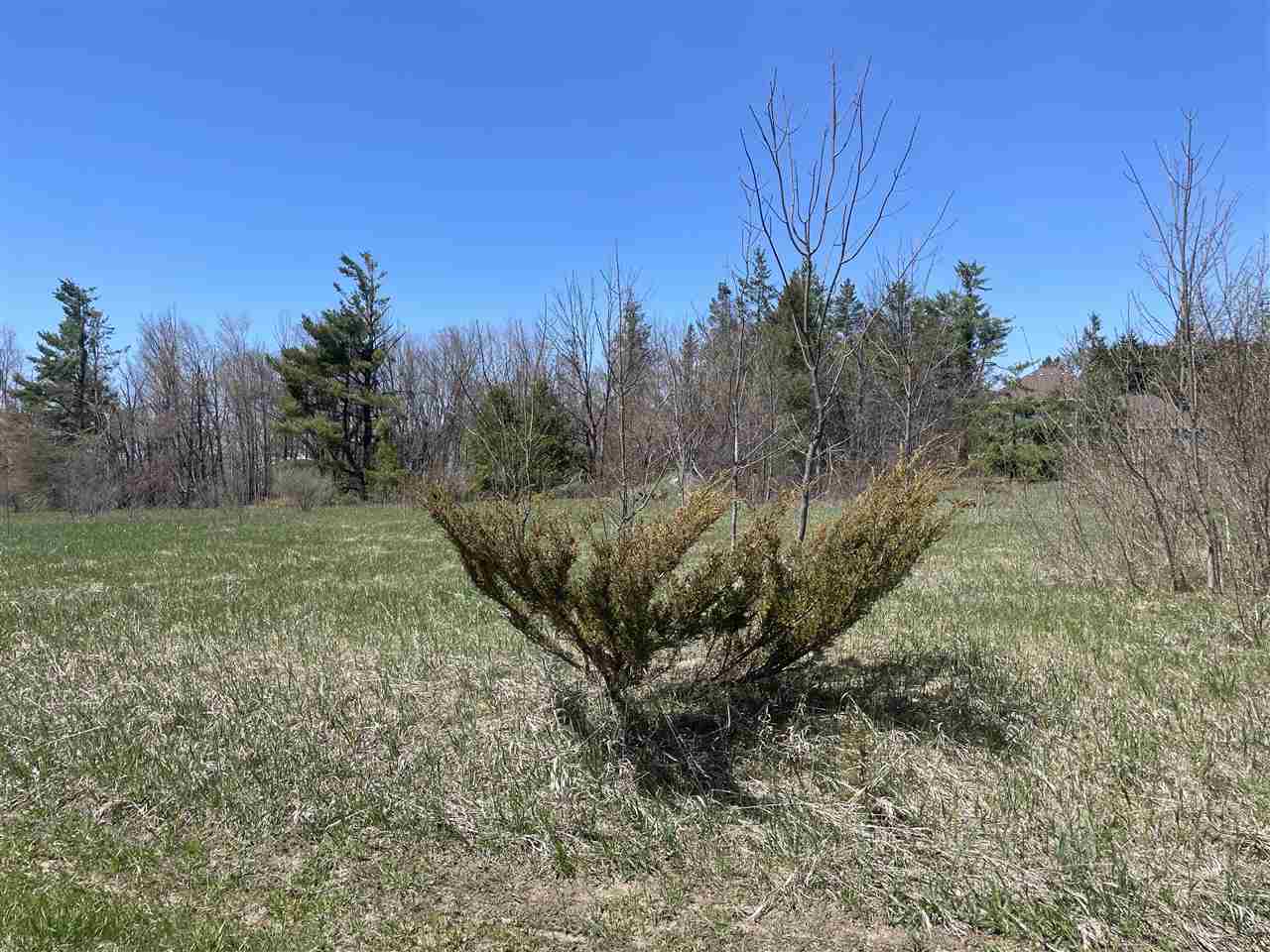 3412 Siebenhar Way Petoskey MI 49770