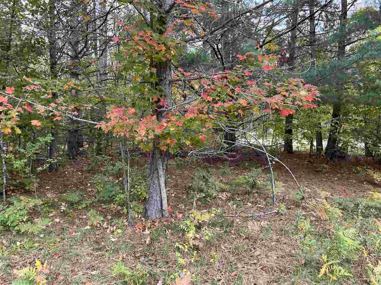 Lot 46 Meadowwood Harbor Springs MI 49740