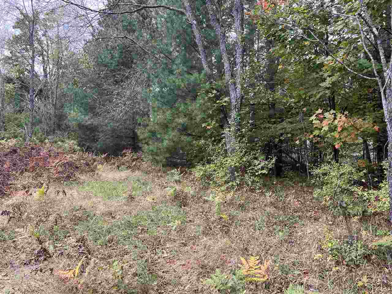 Lot 46 Meadowwood Harbor Springs MI 49740