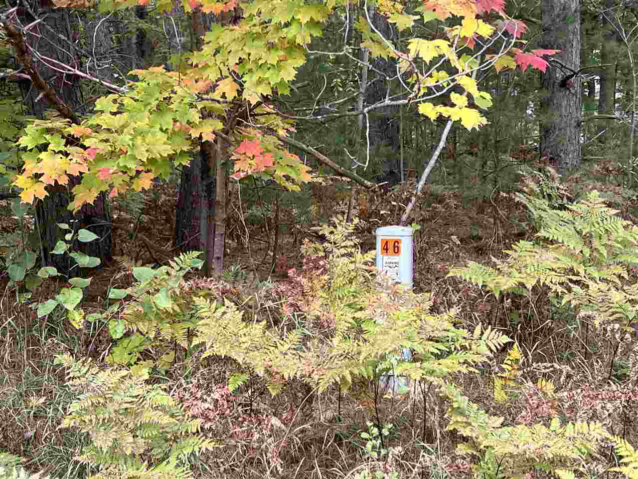 Lot 46 Meadowwood Harbor Springs MI 49740