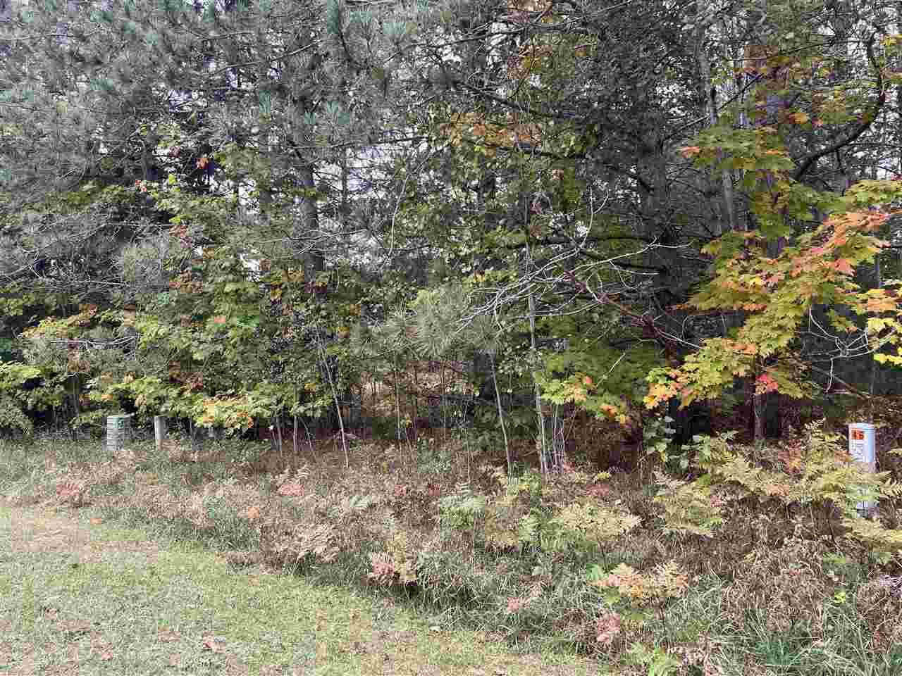 Lot 46 Meadowwood Harbor Springs MI 49740