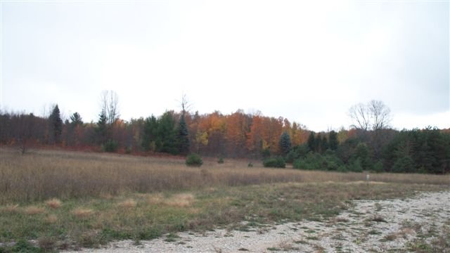 8842 Chickadee Lane Alanson MI 49706