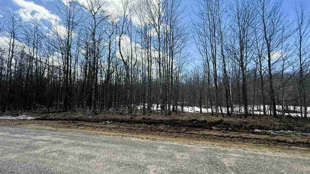 Lot 324 Parkridge Drive Mancelona MI 49659