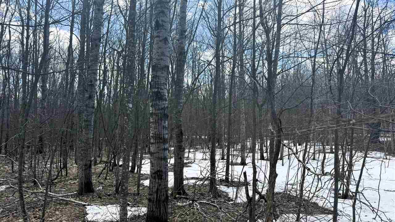 Lot 324 Parkridge Drive Mancelona MI 49659