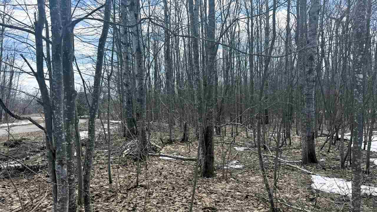 Lot 324 Parkridge Drive Mancelona MI 49659