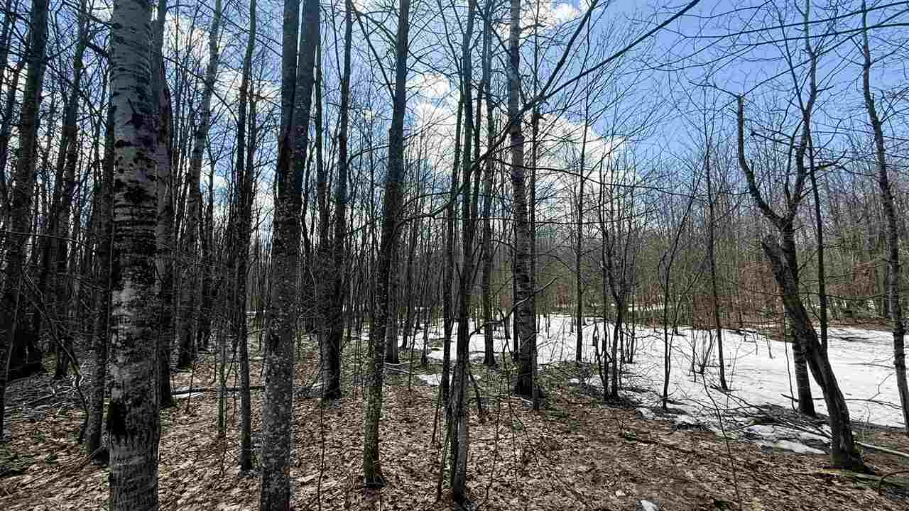 Lot 324 Parkridge Drive Mancelona MI 49659