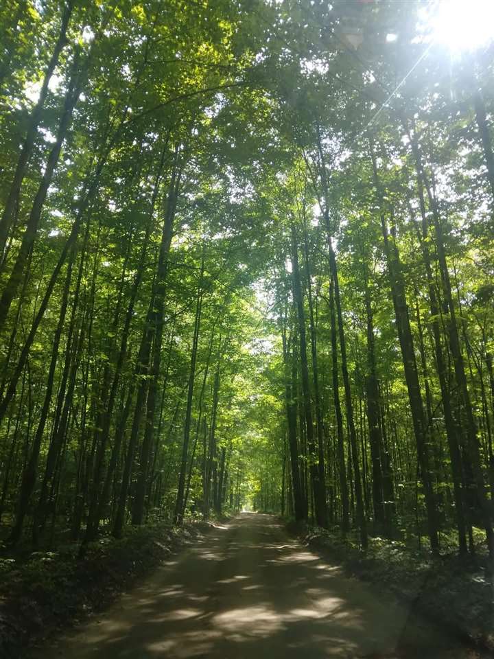 4856 Star Chief Trail Mancelona MI 49676