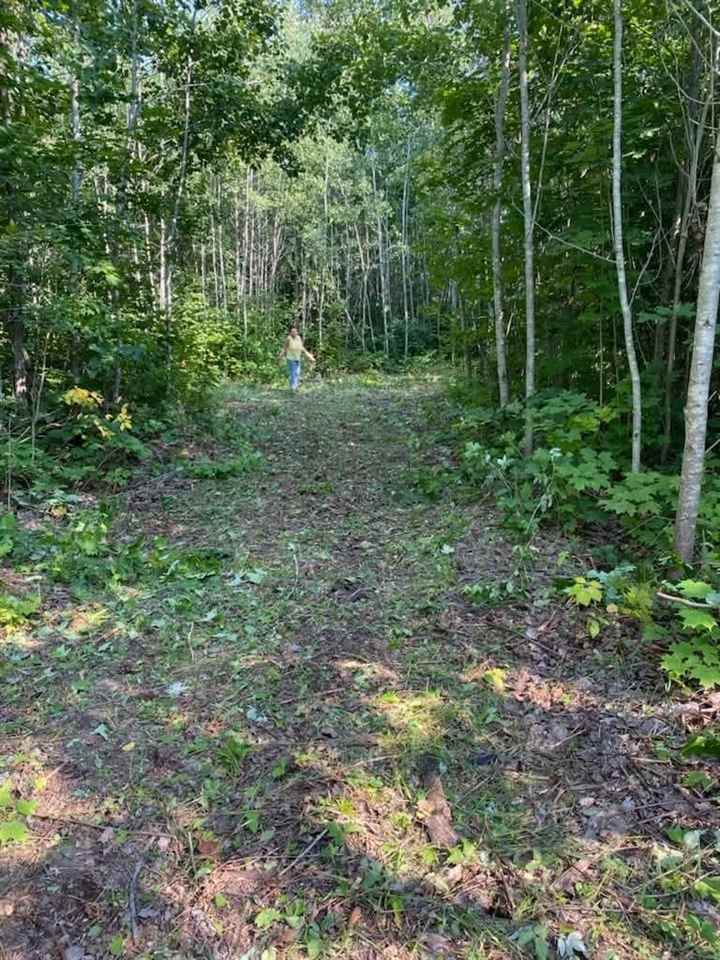 4856 Star Chief Trail Mancelona MI 49676