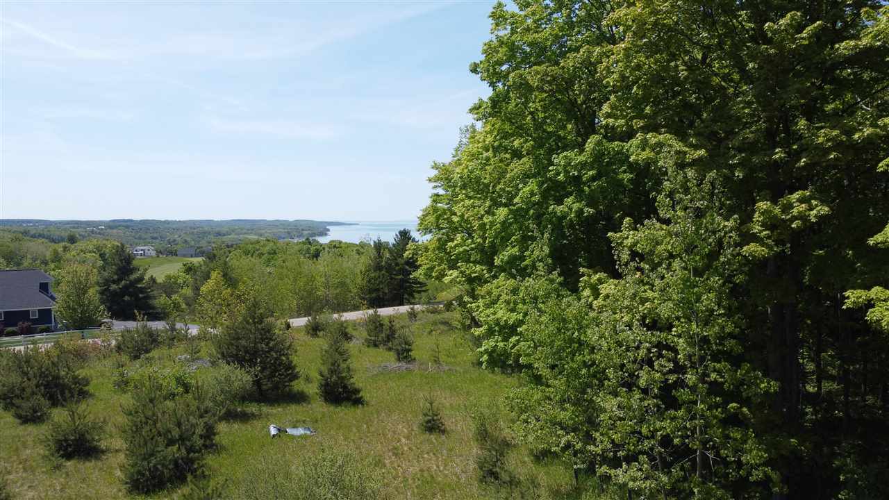 3296 Vineyard Court Petoskey MI 49770