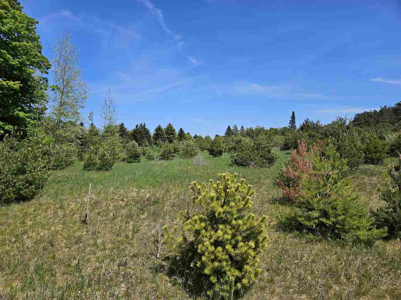 3296 Vineyard Court Petoskey MI 49770