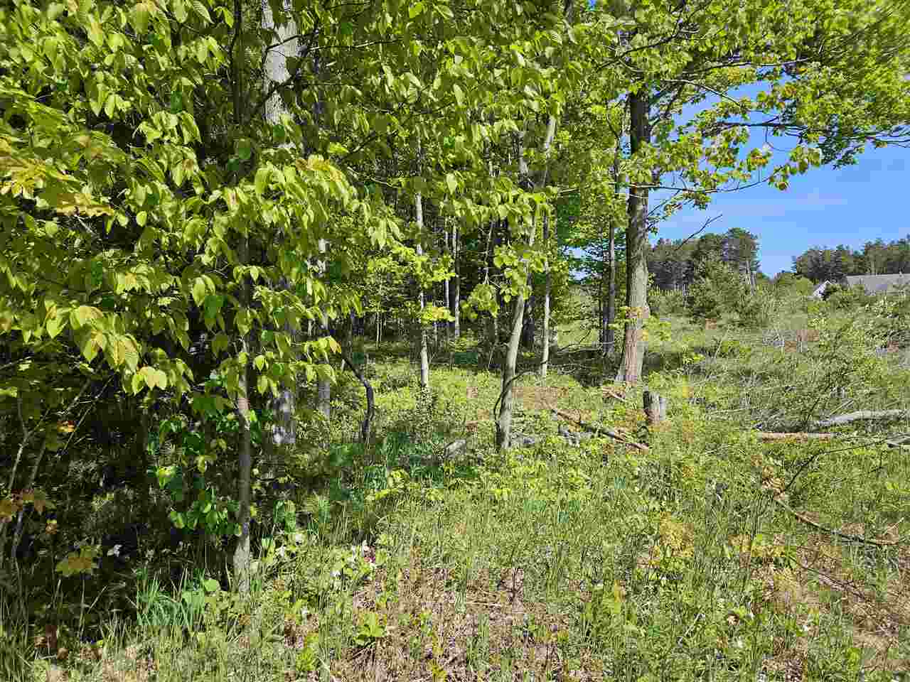 3296 Vineyard Court Petoskey MI 49770