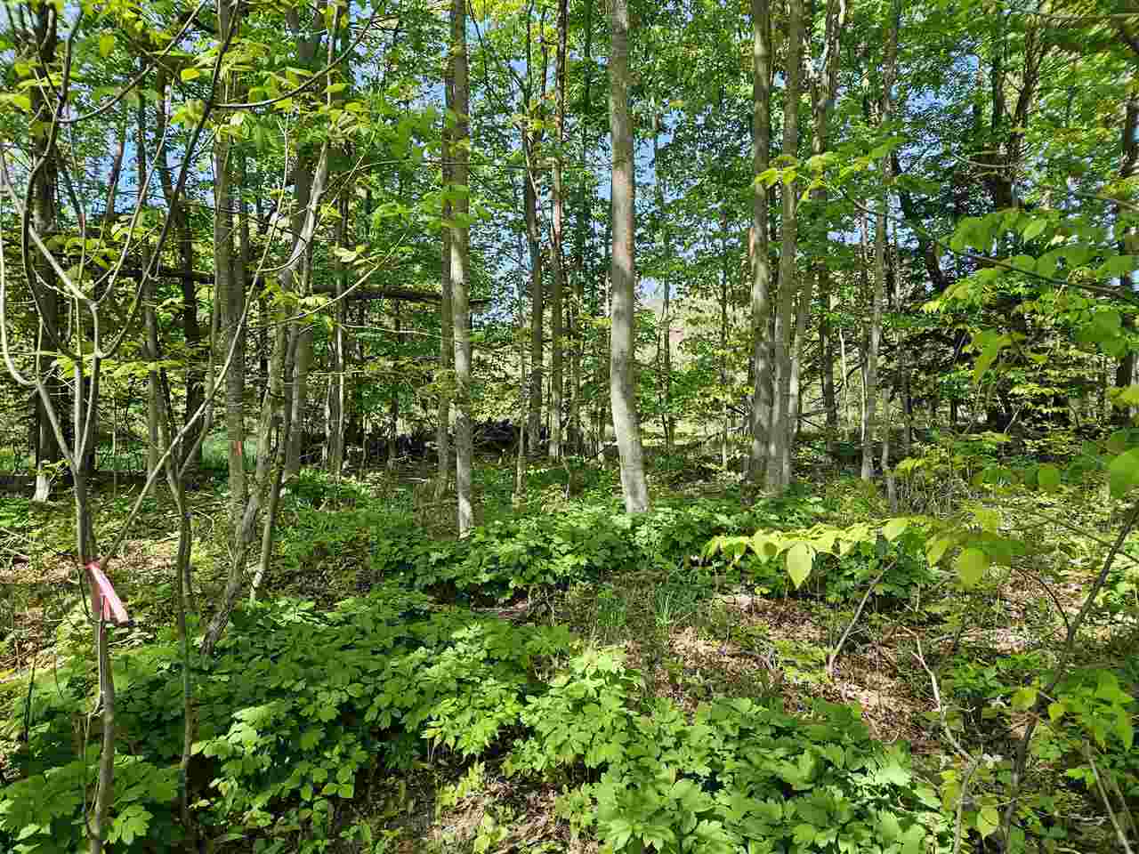 3296 Vineyard Court Petoskey MI 49770