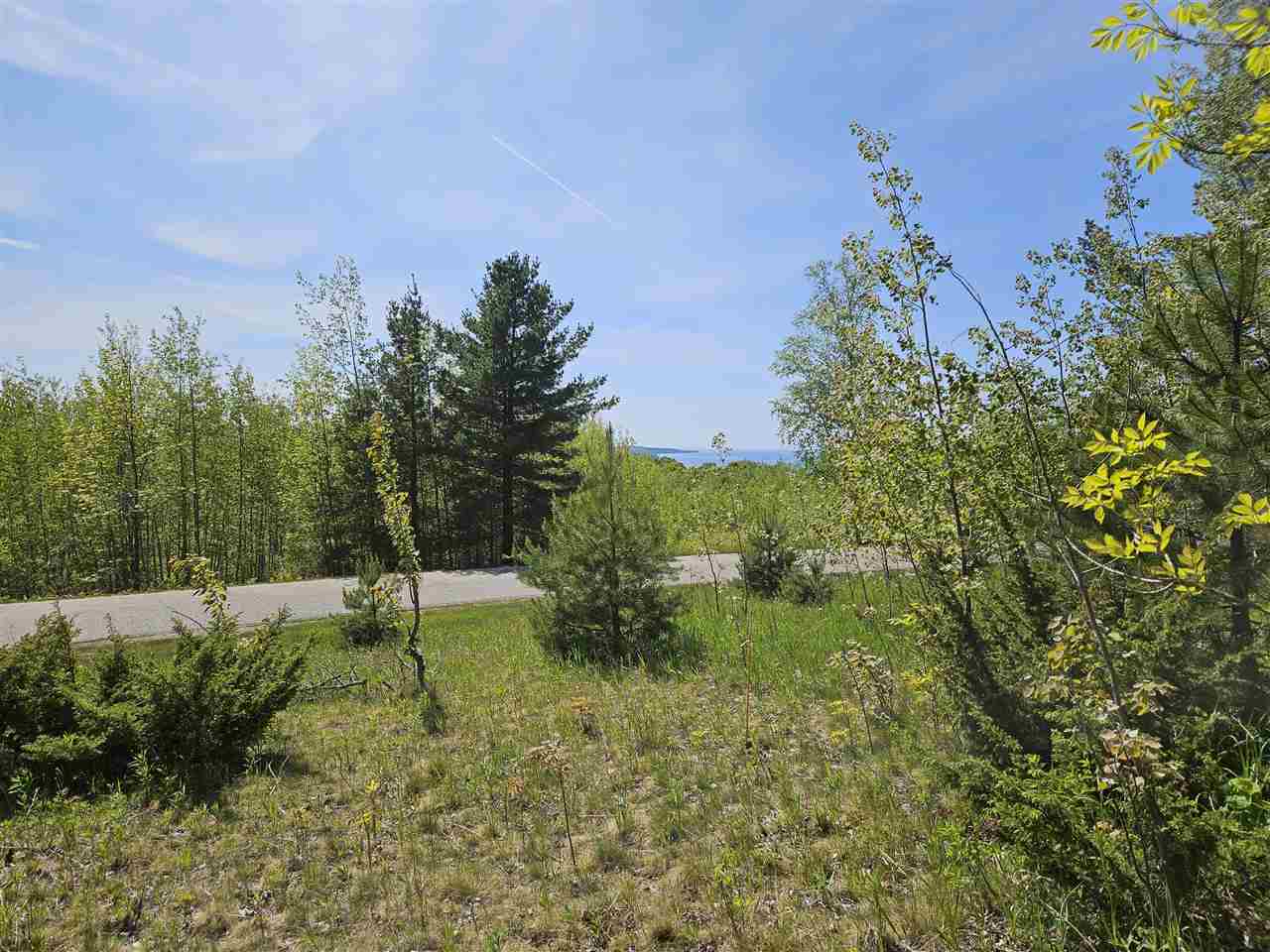 3296 Vineyard Court Petoskey MI 49770