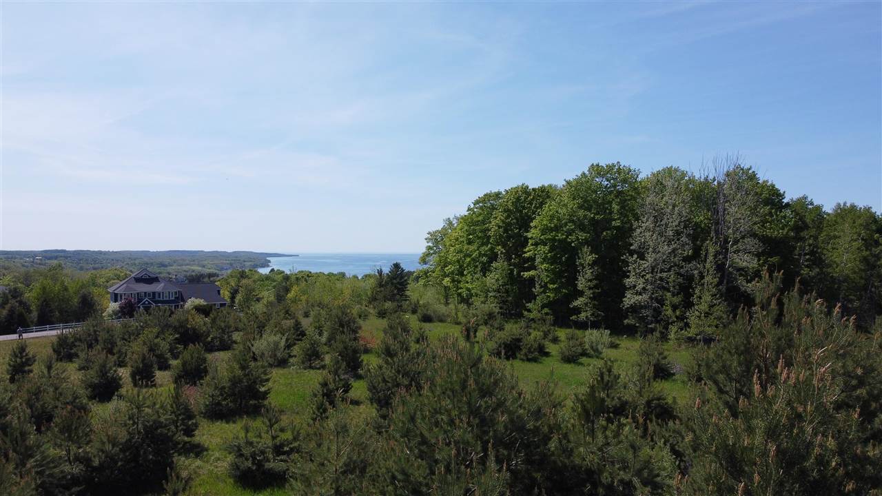 3296 Vineyard Court Petoskey MI 49770