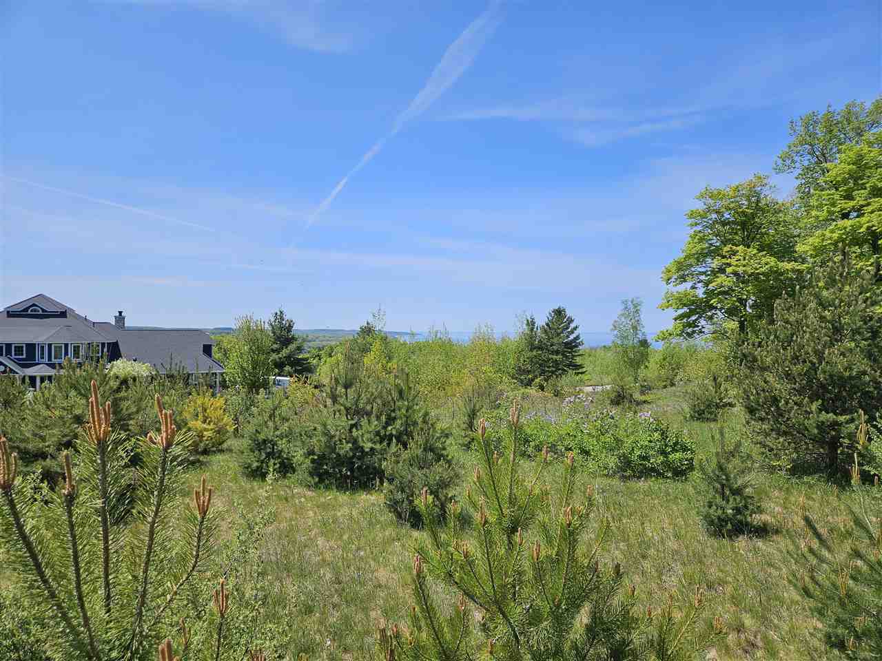 3296 Vineyard Court Petoskey MI 49770