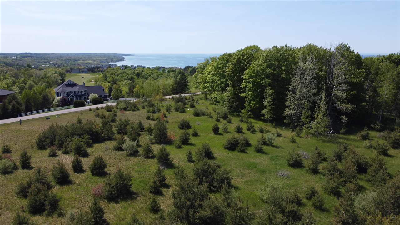 3296 Vineyard Court Petoskey MI 49770