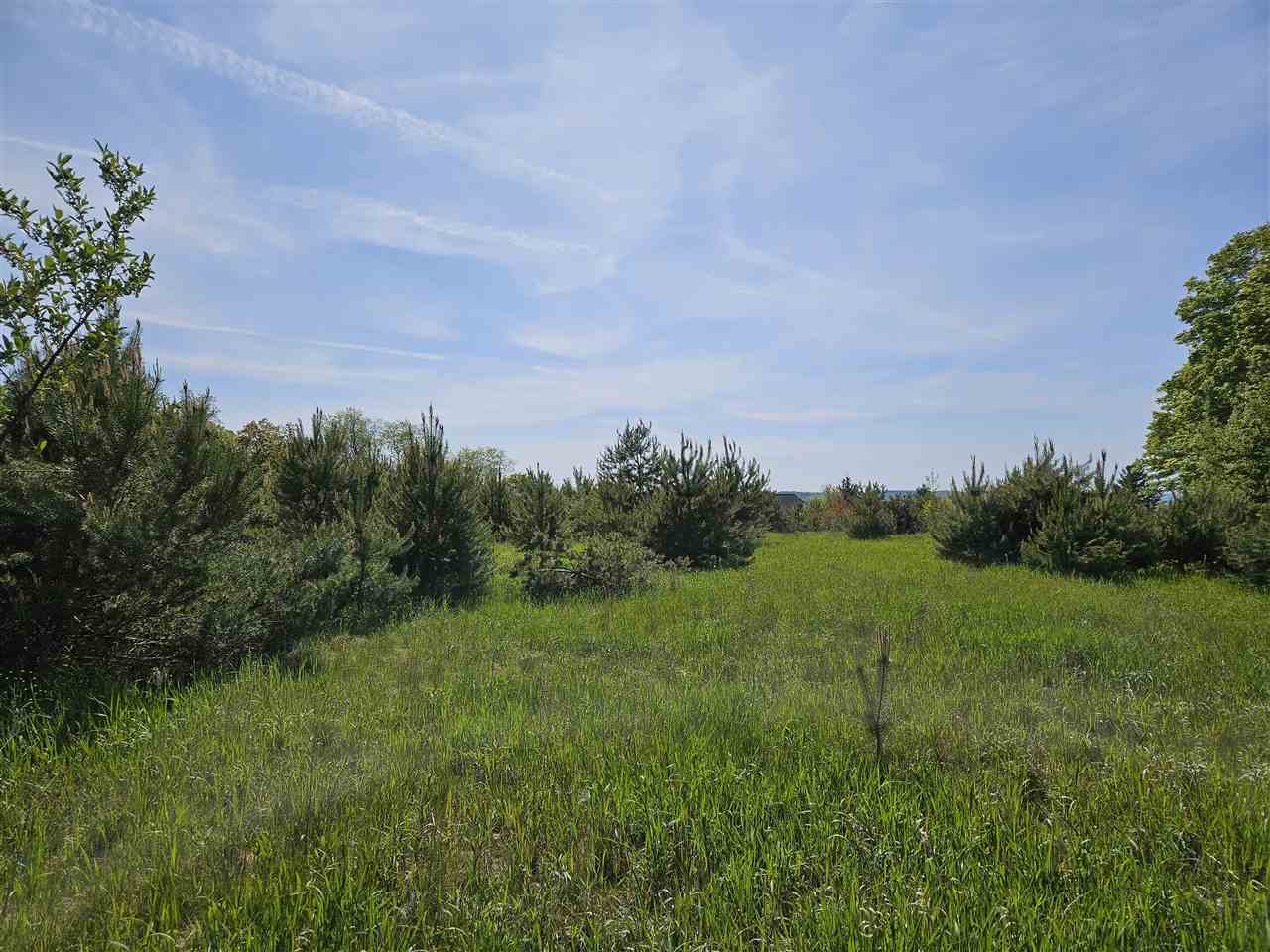 3296 Vineyard Court Petoskey MI 49770