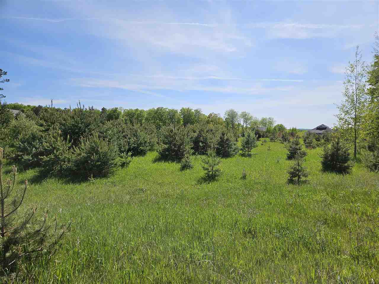 3296 Vineyard Court Petoskey MI 49770