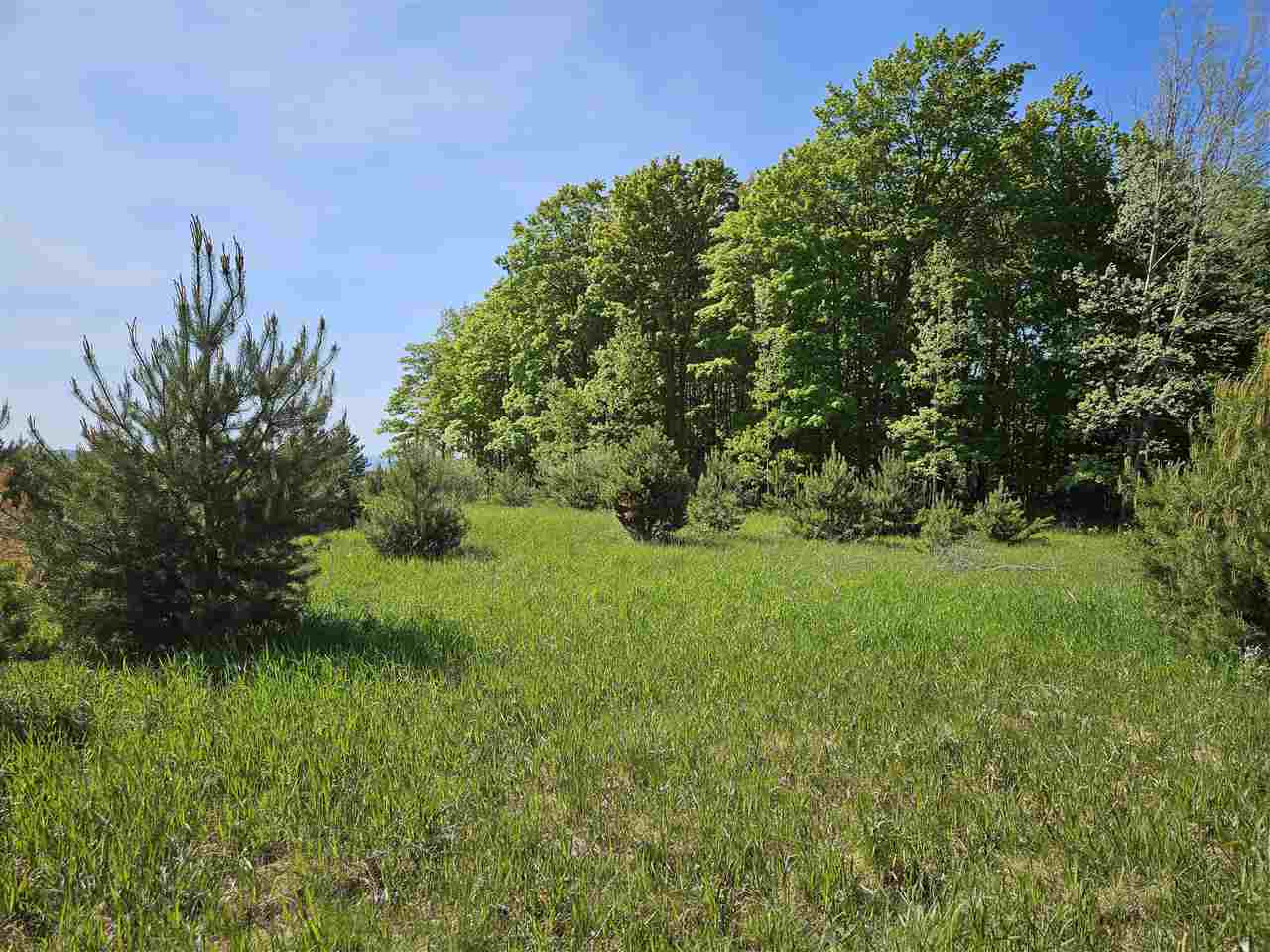 3296 Vineyard Court Petoskey MI 49770