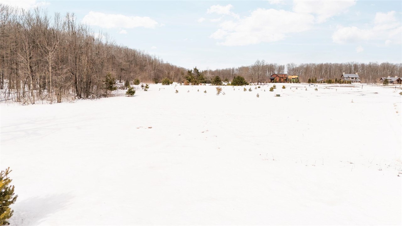2522 Red Hawk Court Harbor Springs MI 49740